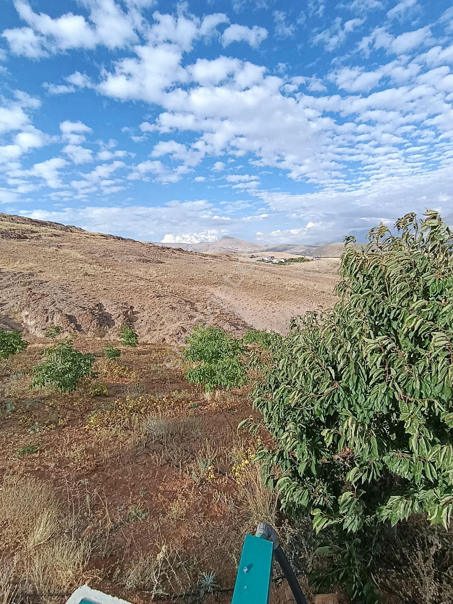 Burç'ta Yerleşime Yakın Kurulu Bahçe — fotoğraf 7