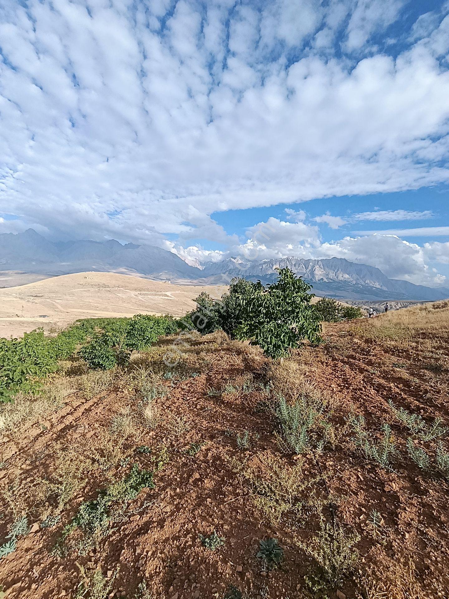 Burç'ta Yerleşime Yakın Kurulu Bahçe — fotoğraf 12