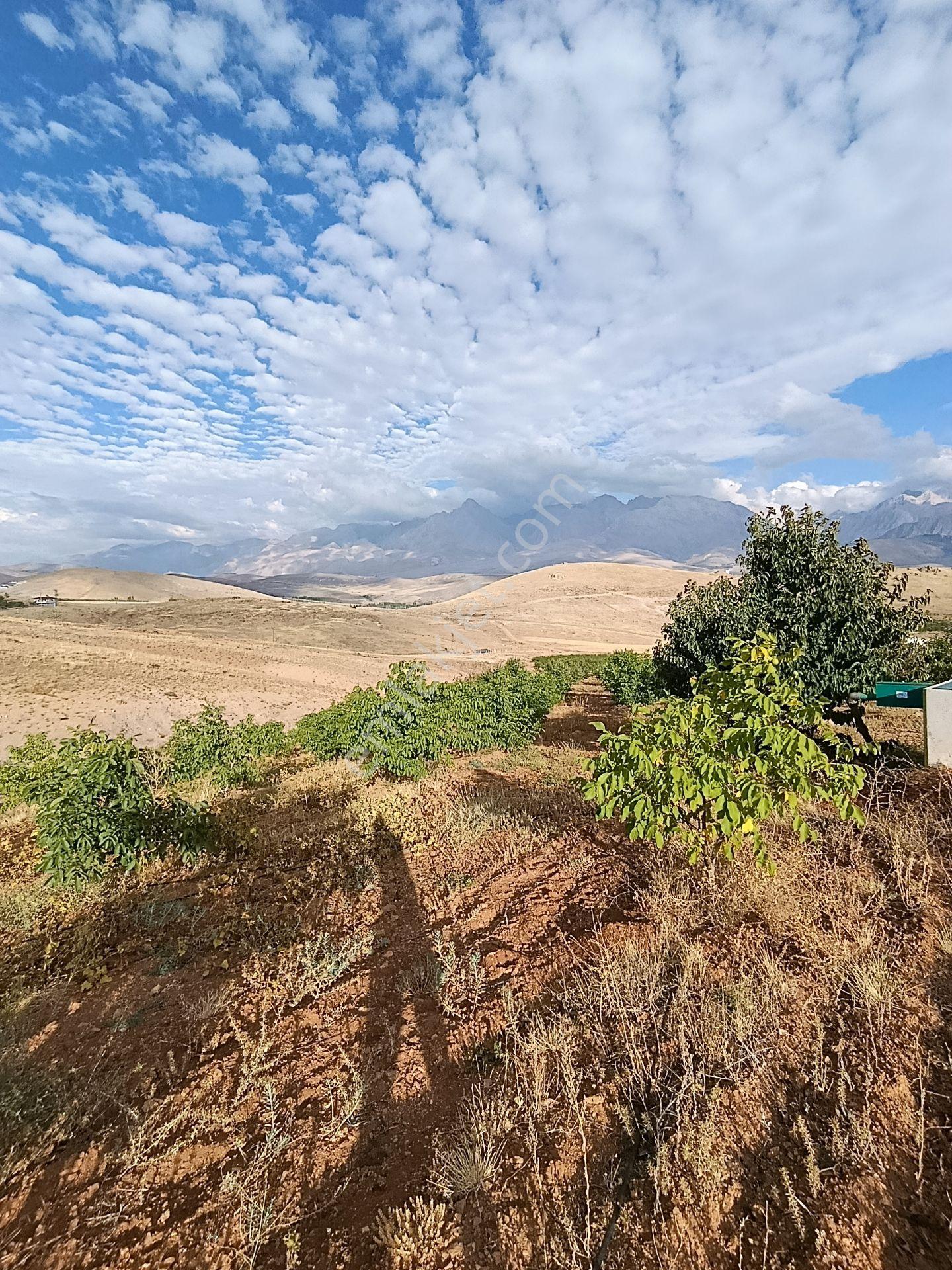 Burç'ta Yerleşime Yakın Kurulu Bahçe — fotoğraf 13