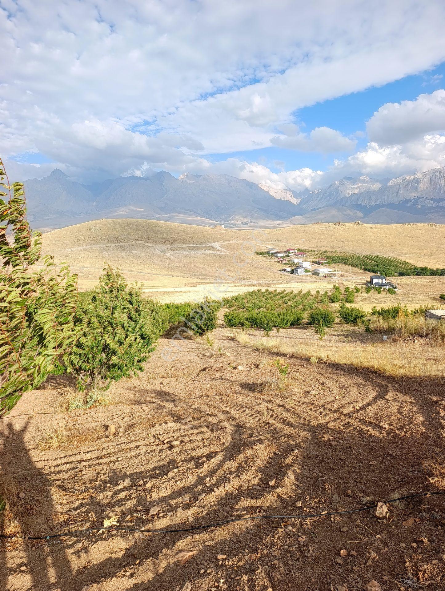 Burç'ta Yerleşime Yakın Kurulu Bahçe — fotoğraf 18