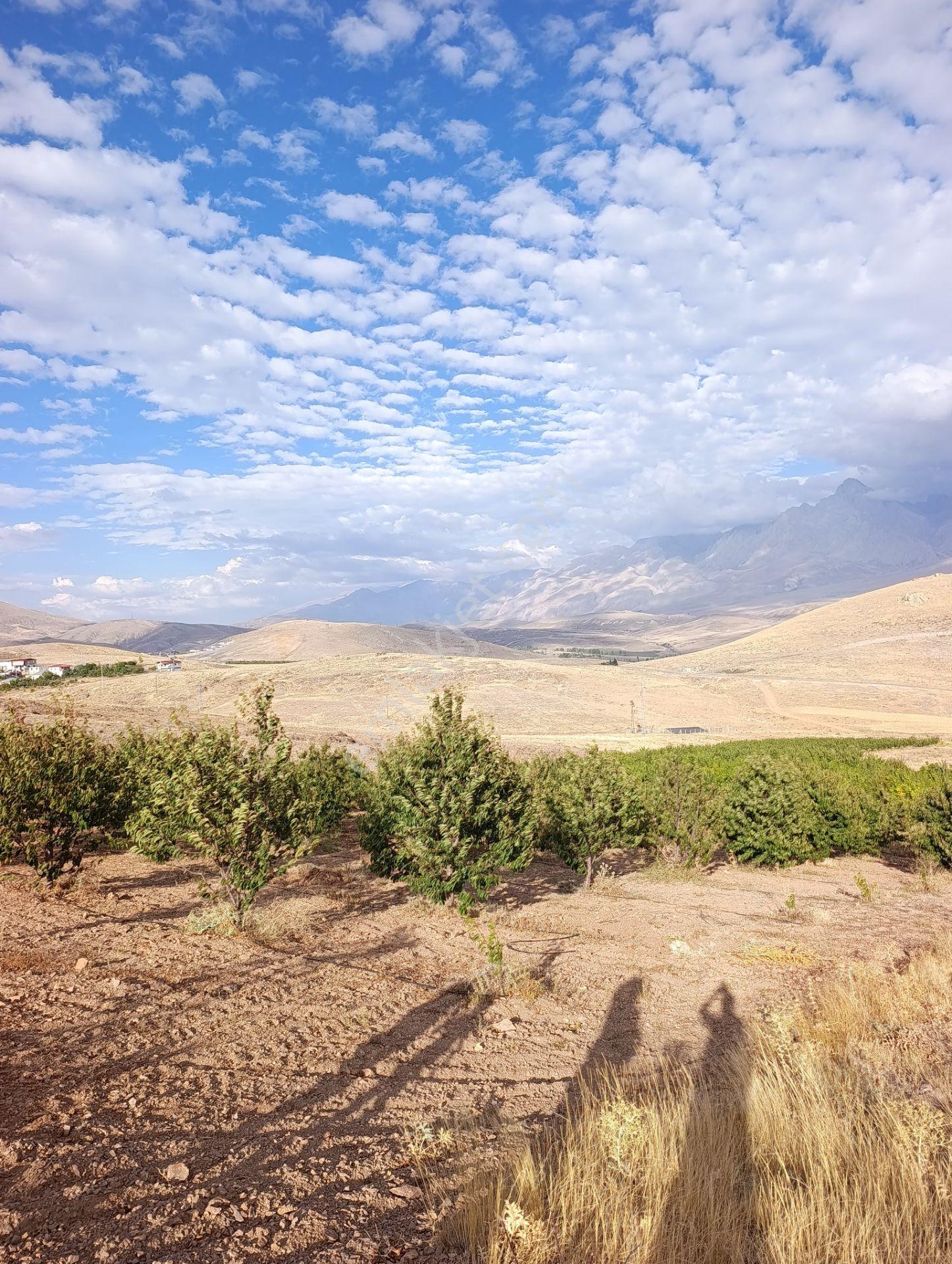 Burç'ta Yerleşime Yakın Kurulu Bahçe — fotoğraf 22