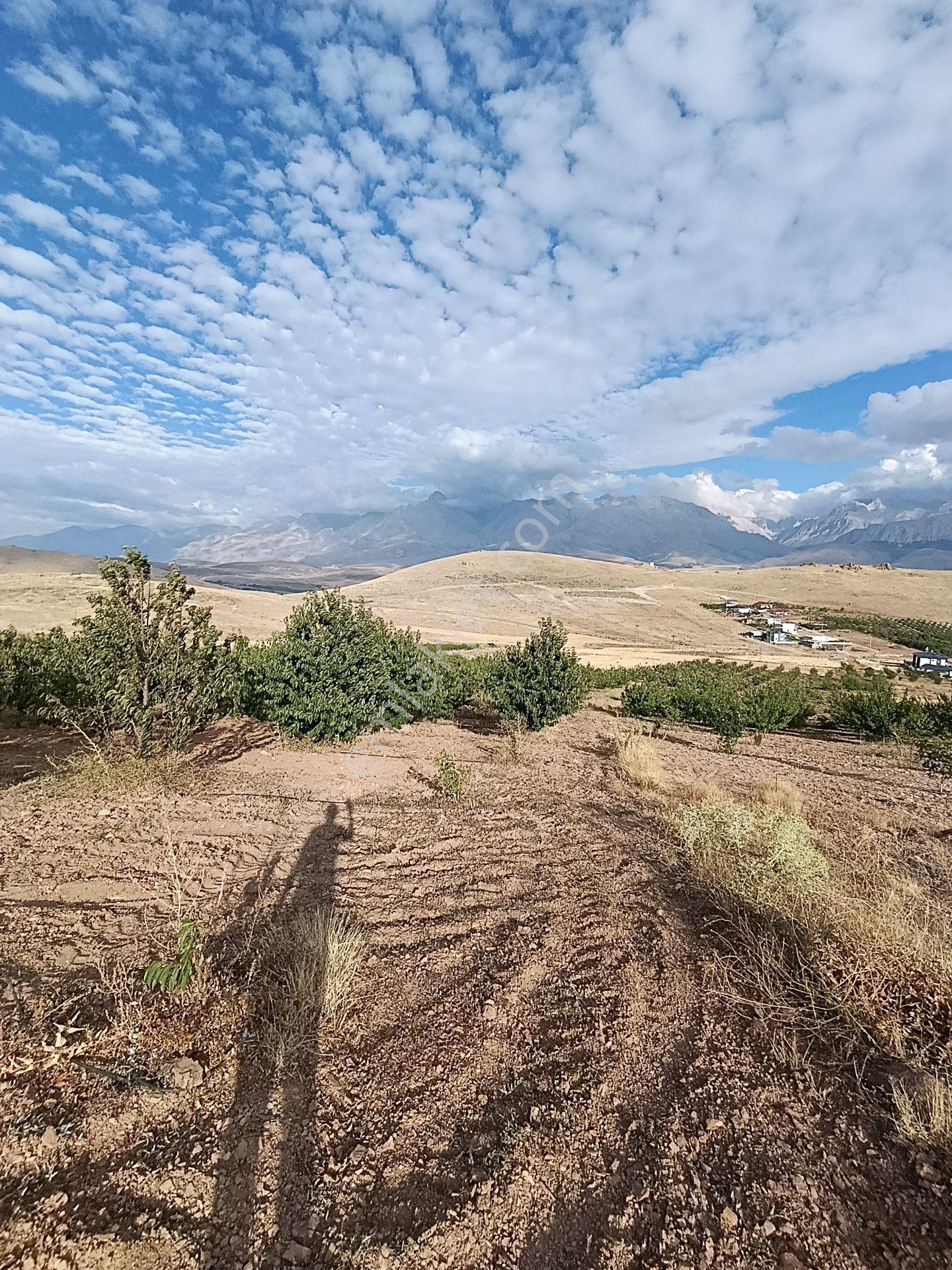 Burç'ta Yerleşime Yakın Kurulu Bahçe — fotoğraf 26