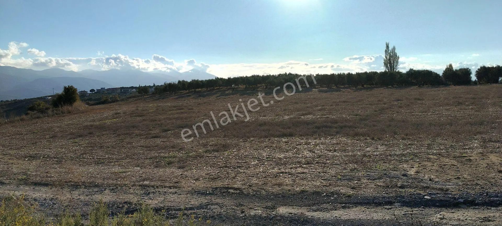 Kuşadası Yaylaköy'de 11.272 M2 Doğa Deniz Manzaralı Acil Satılık Tarla — fotoğraf 2