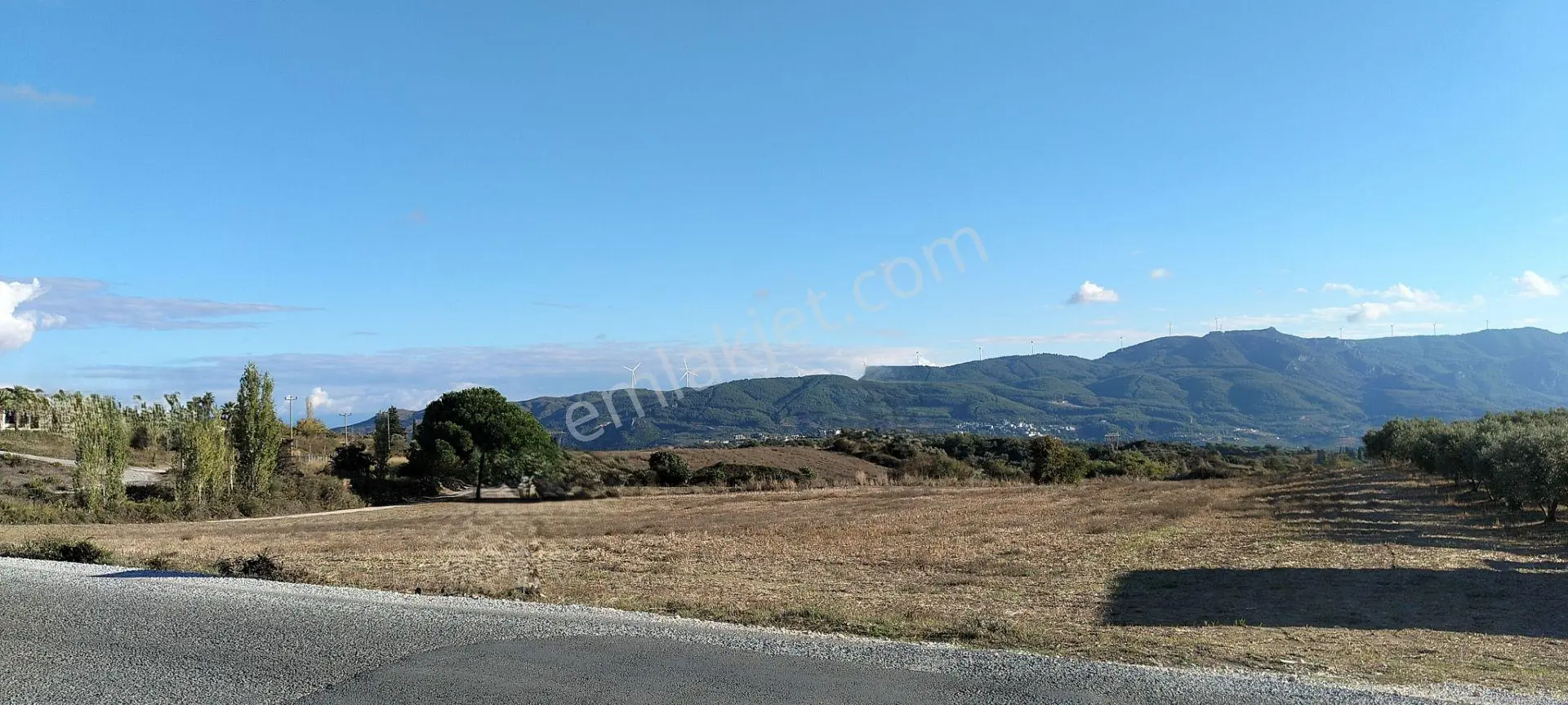 Kuşadası Yaylaköy'de 11.272 M2 Doğa Deniz Manzaralı Acil Satılık Tarla — fotoğraf 5