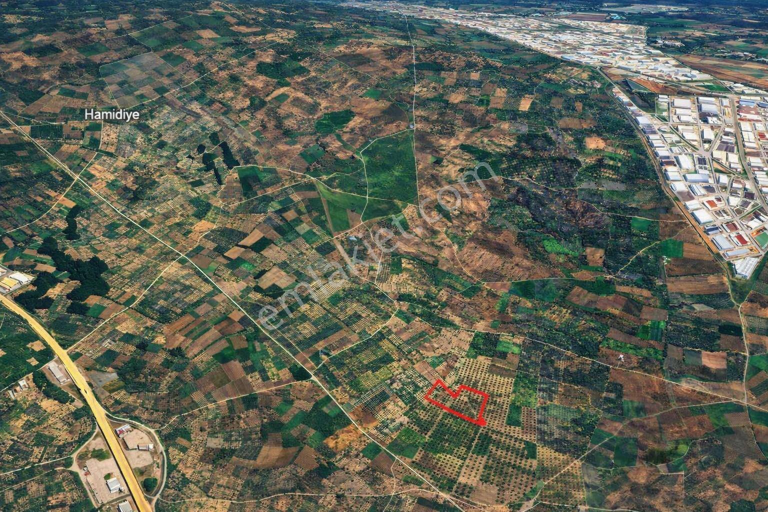 Ballıca'da Kaçırılmayacak Fırsat 10.650 M² Tek Tapu Zeytinlik — fotoğraf 9