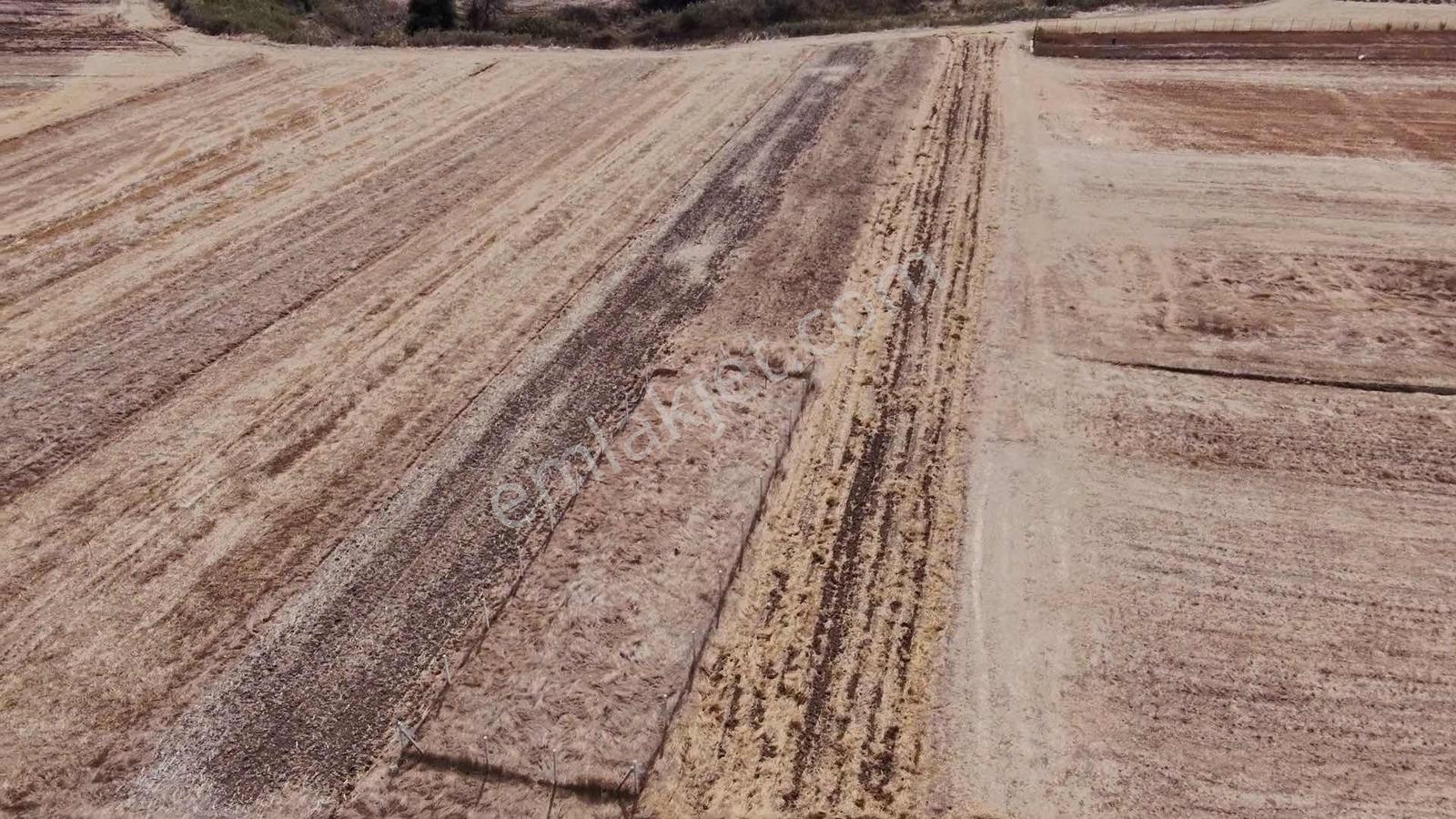 Ergene Esenler De Satılık Behçe 1.070 M2 Etrafı Çevrili Arsa — fotoğraf 3