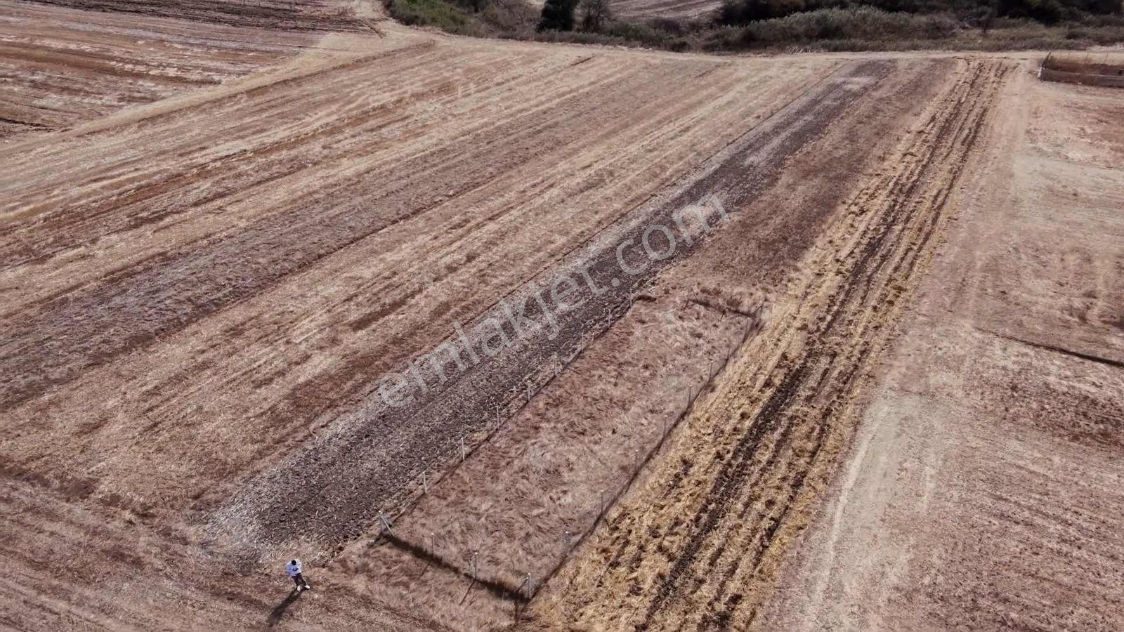 Ergene Esenler De Satılık Behçe 1.070 M2 Etrafı Çevrili Arsa — fotoğraf 4