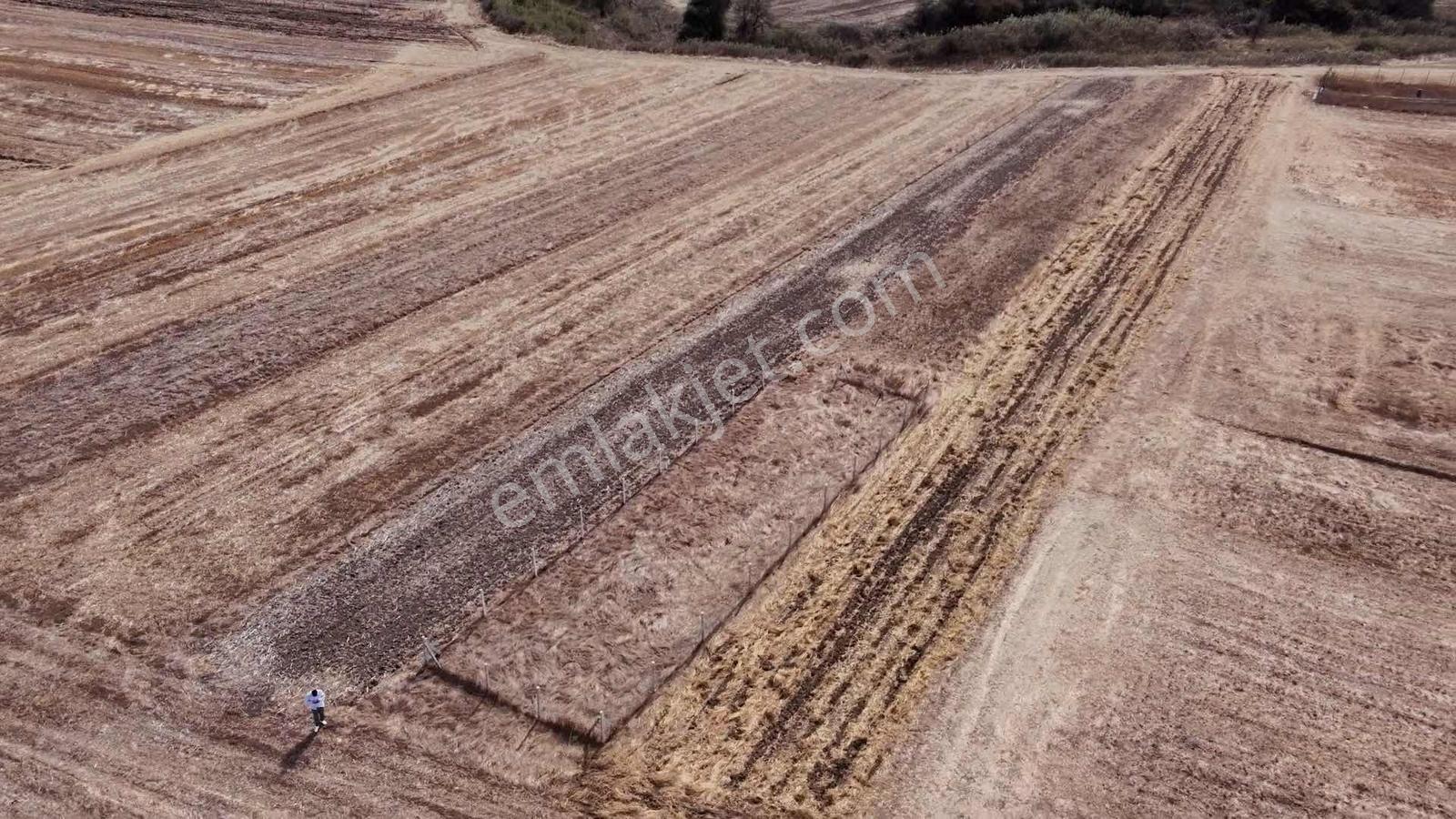 Ergene Esenler De Satılık Behçe 1.070 M2 Etrafı Çevrili Arsa — fotoğraf 5
