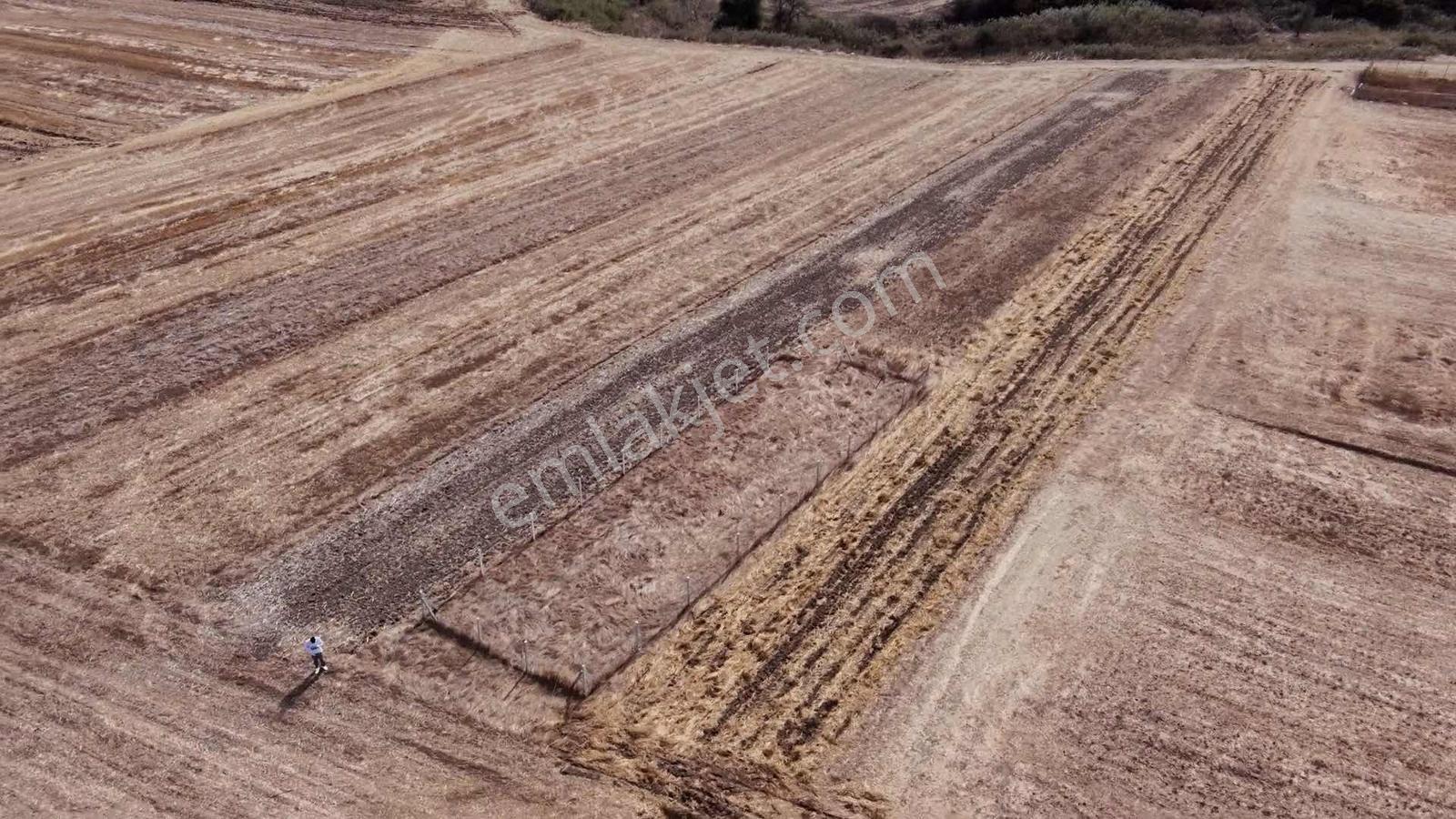 Ergene Esenler De Satılık Behçe 1.070 M2 Etrafı Çevrili Arsa — fotoğraf 6