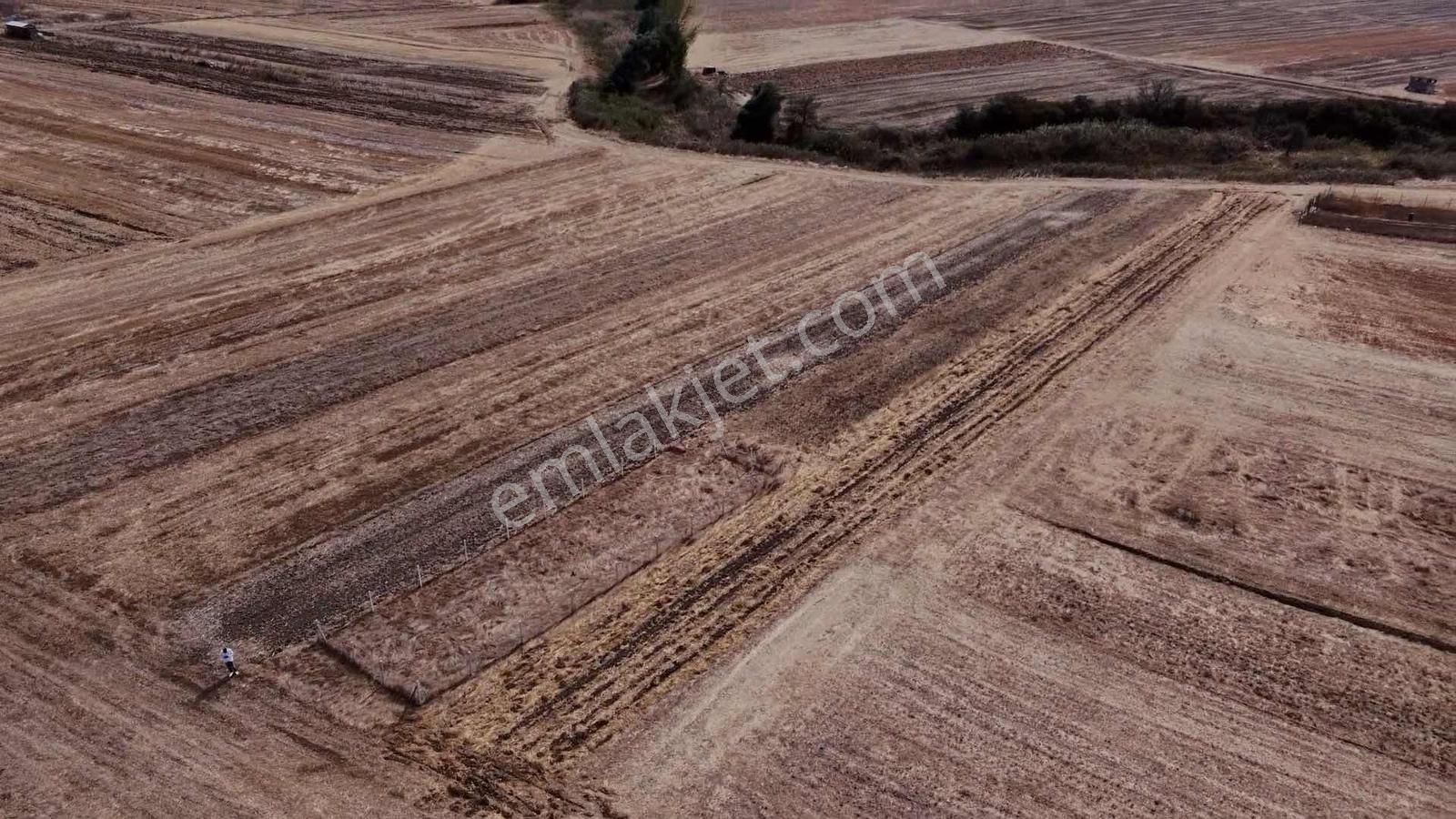 Ergene Esenler De Satılık Behçe 1.070 M2 Etrafı Çevrili Arsa — fotoğraf 8