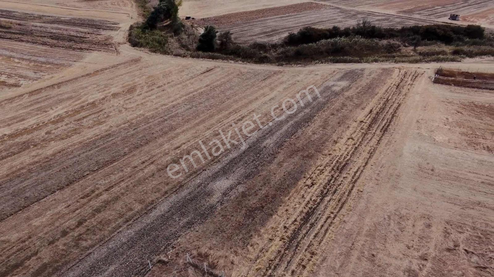 Ergene Esenler De Satılık Behçe 1.070 M2 Etrafı Çevrili Arsa — fotoğraf 9