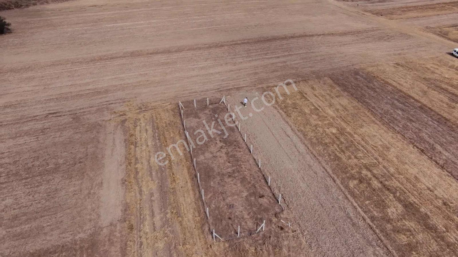 Ergene Esenler De Satılık Behçe 1.070 M2 Etrafı Çevrili Arsa — fotoğraf 10