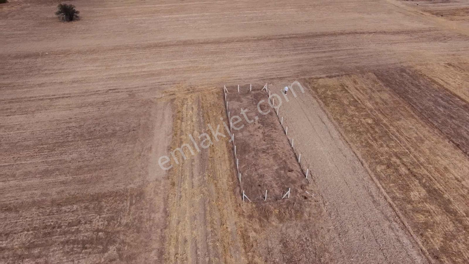 Ergene Esenler De Satılık Behçe 1.070 M2 Etrafı Çevrili Arsa — fotoğraf 11