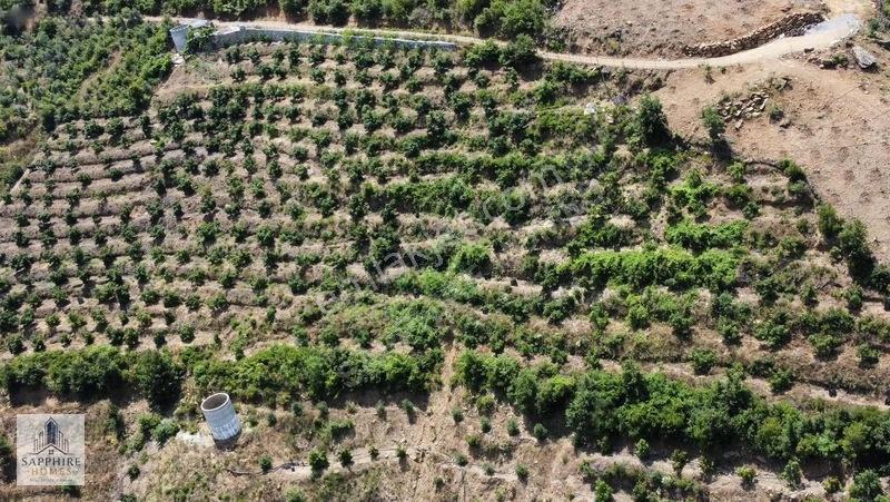 Alanya Çamlıcada 10 Dönüm Müstakil Tapulu Satılık Tarla