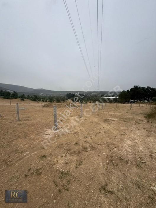 Rc//kaynaklarda Yol Üst Elektrik Su Hazır Arsa Satılık — fotoğraf 3