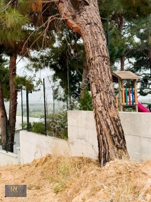 Rc//kaynaklarda Yol Üst Elektrik Su Hazır Arsa Satılık — fotoğraf 7