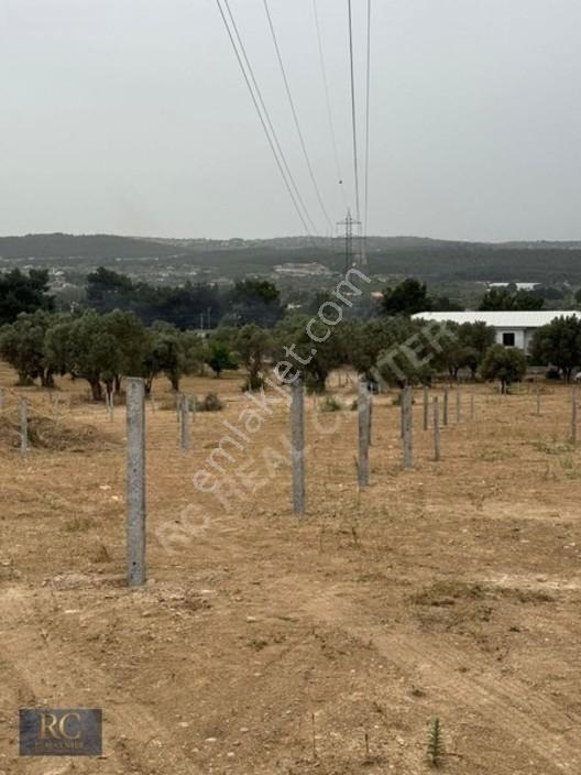 Rc//kaynaklarda Yol Üst Elektrik Su Hazır Arsa Satılık — fotoğraf 10