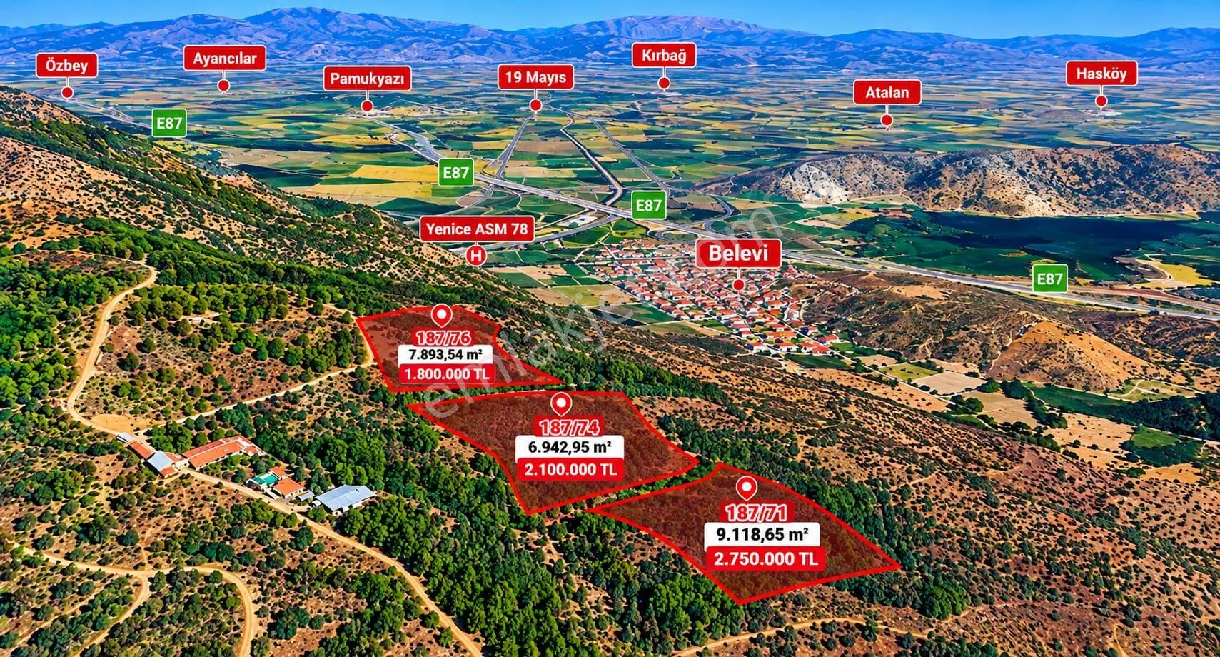 Selçuk Belevi’de 6.942 M² Satılık Zeytinlik – Yakınında 2 Satılık Parsel Daha
