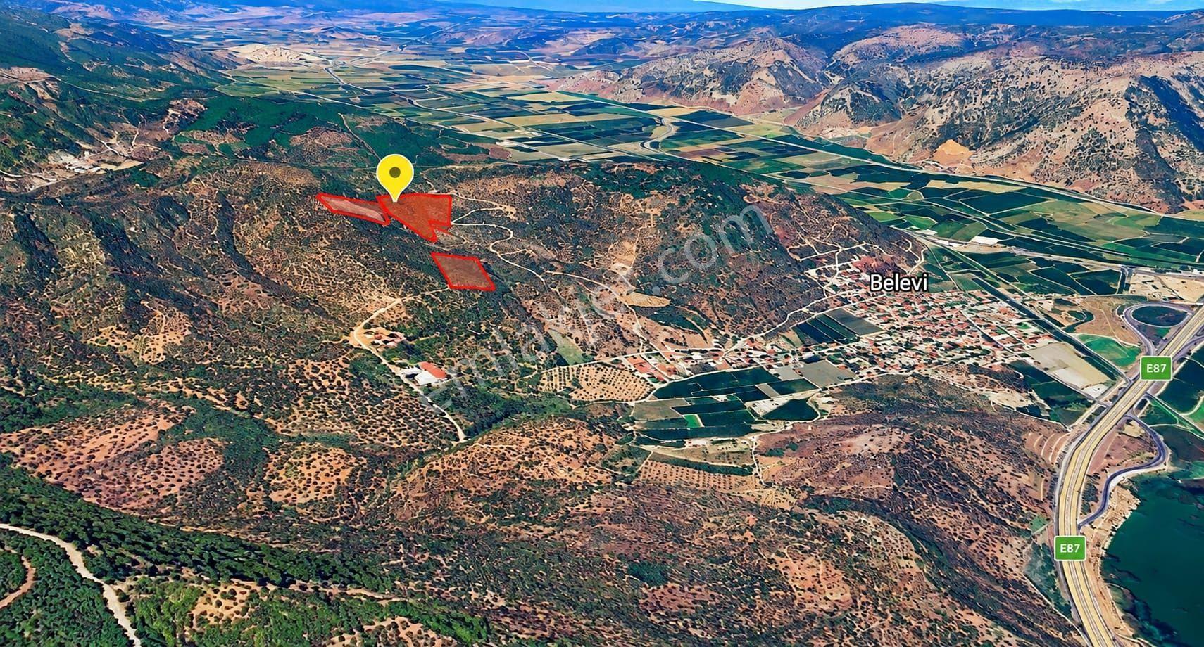 Selçuk Belevi’de 6.942 M² Satılık Zeytinlik – Yakınında 2 Satılık Parsel Daha — fotoğraf 4