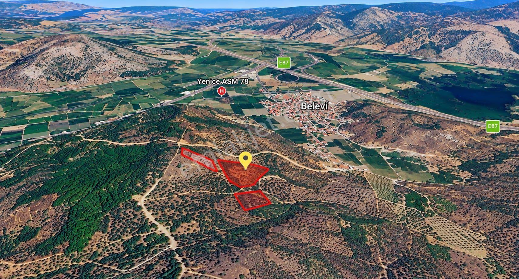 Selçuk Belevi’de 6.942 M² Satılık Zeytinlik – Yakınında 2 Satılık Parsel Daha — fotoğraf 5