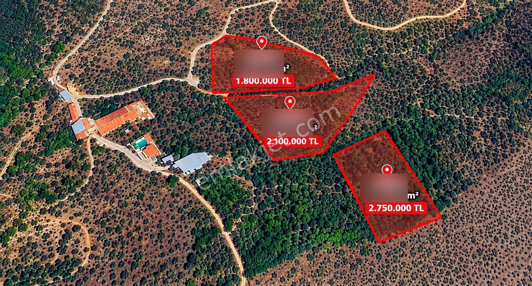 Selçuk Belevi’de 6.942 M² Satılık Zeytinlik – Yakınında 2 Satılık Parsel Daha — fotoğraf 10