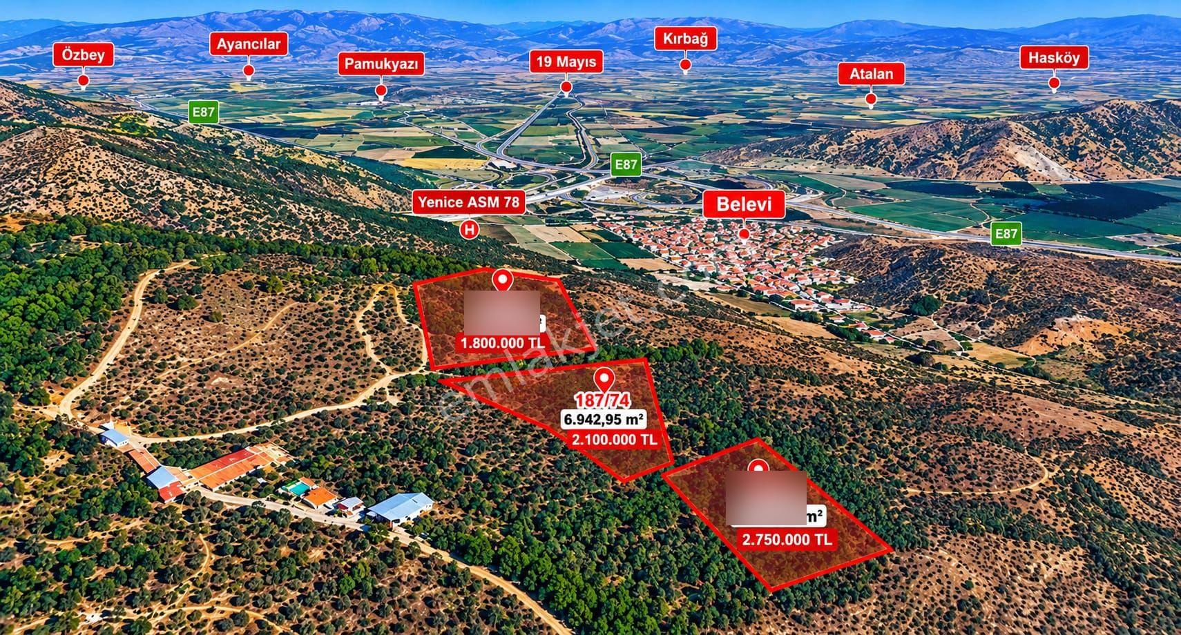 Selçuk Belevi’de 6.942 M² Satılık Zeytinlik – Yakınında 2 Satılık Parsel Daha — fotoğraf 11