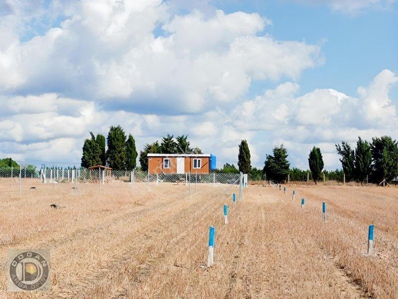 Acil Satılık 250-500-750 Ve 1.000 Metre Taksitli Arsalar