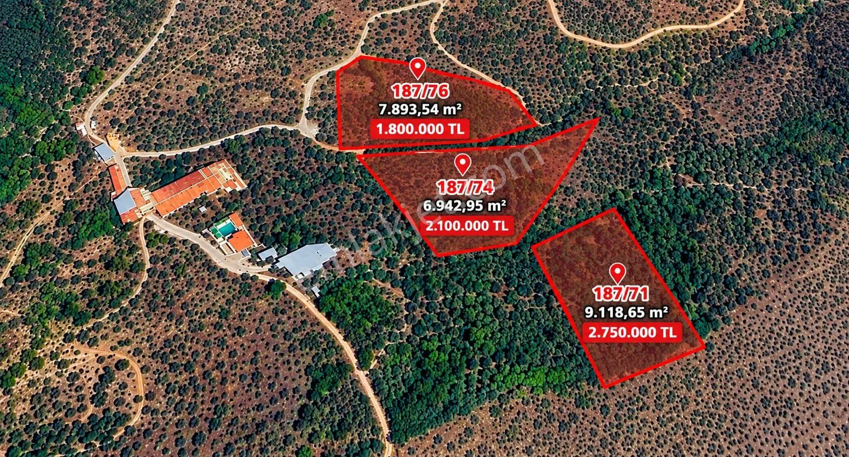 Selçuk Belevi’de 5.898 M² Satılık Zeytinlik – Yakınında 2 Satılık Parsel Daha