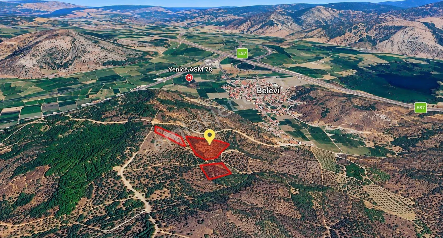 Selçuk Belevi’de 5.898 M² Satılık Zeytinlik – Yakınında 2 Satılık Parsel Daha — fotoğraf 5