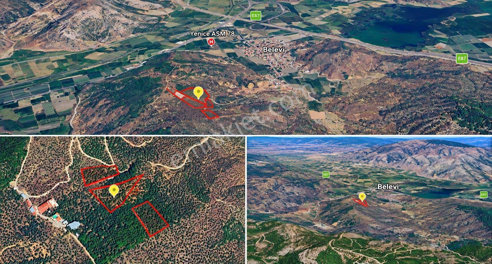 Selçuk Belevi’de 5.898 M² Satılık Zeytinlik – Yakınında 2 Satılık Parsel Daha — fotoğraf 6