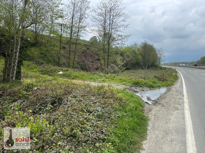 Sahil Emlak'Tan Rize Kalkandere Ormalı'Da Satılık 2 Dönüm Arsa