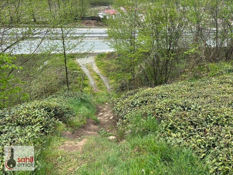 Sahil Emlak'Tan Rize Kalkandere Ormalı'Da Satılık 2 Dönüm Arsa — fotoğraf 6