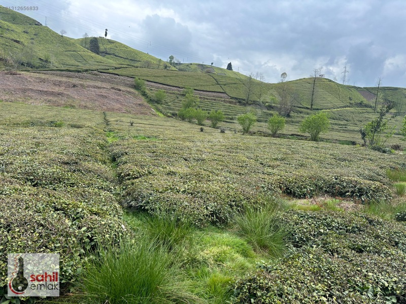 Sahil Emlak'Tan Rize Kalkandere Ormalı'Da Satılık 2 Dönüm Arsa — fotoğraf 12