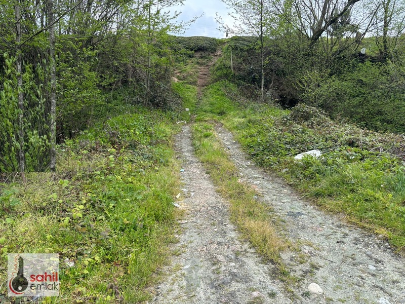 Sahil Emlak'Tan Rize Kalkandere Ormalı'Da Satılık 2 Dönüm Arsa — fotoğraf 13