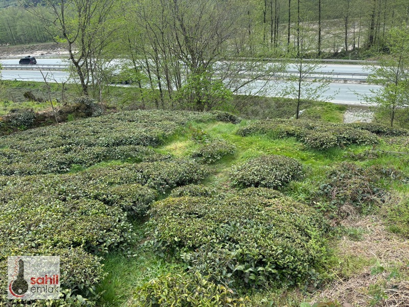 Sahil Emlak'Tan Rize Kalkandere Ormalı'Da Satılık 2 Dönüm Arsa — fotoğraf 15