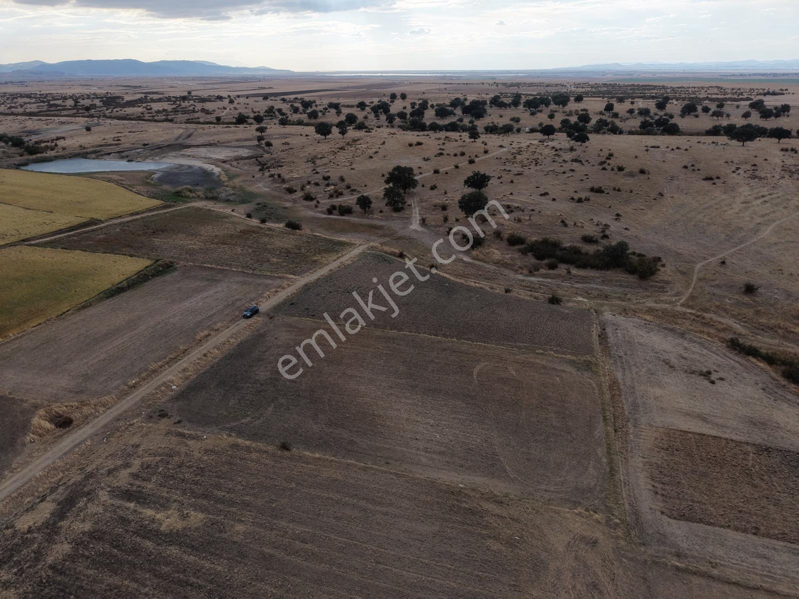 Ege Emlak'tan Aliço Pehlivan Köyünde Satılık Çiftlik İmarlı Arsa — fotoğraf 22