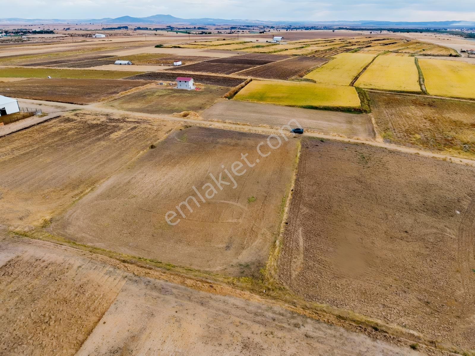 Ege Emlak'tan Aliço Pehlivan Köyünde Satılık Çiftlik İmarlı Arsa — fotoğraf 27