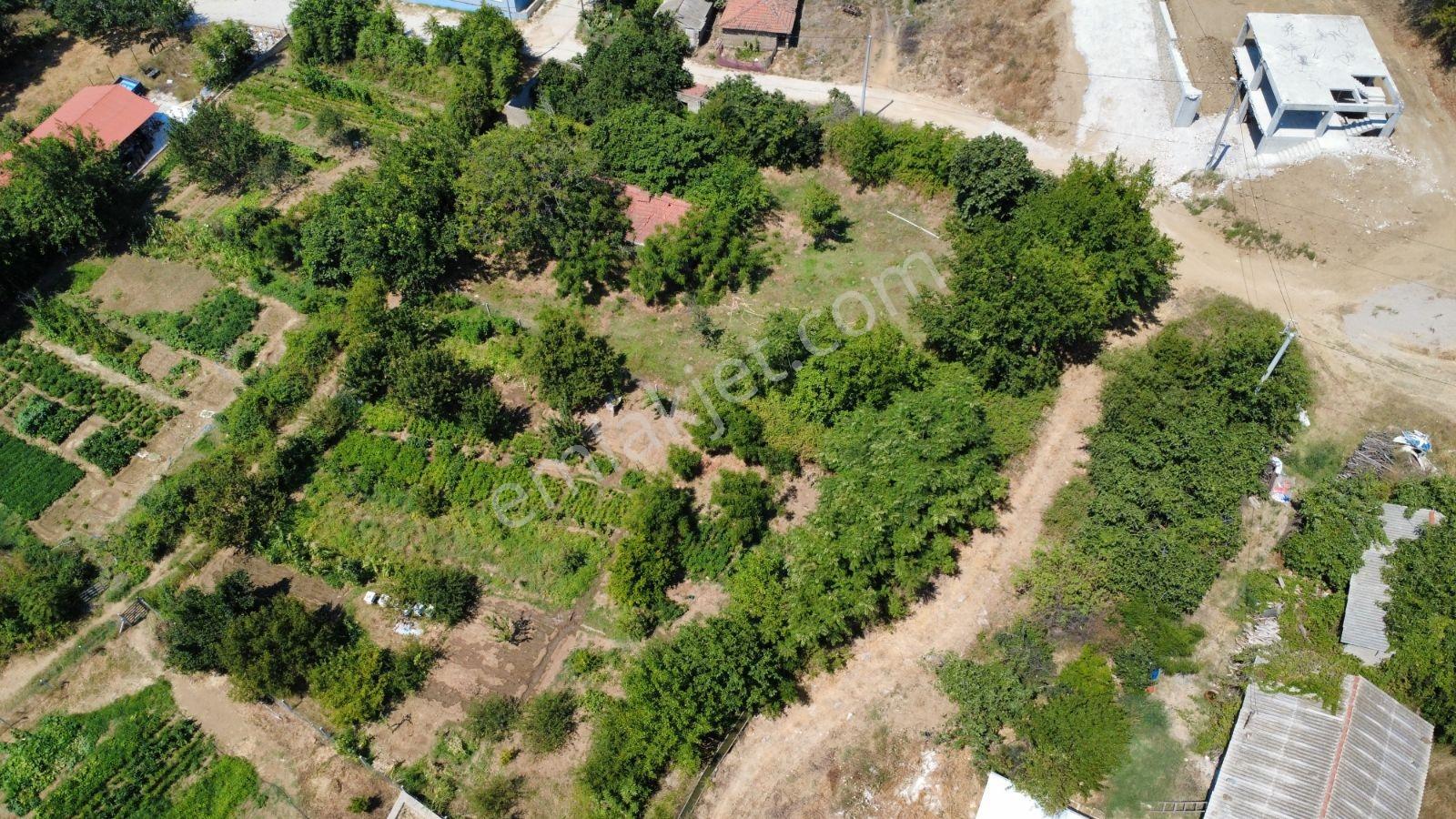 Çay Ağzında Deniz Manzaralı 508 Metrekare İmarlı Arsa — fotoğraf 20