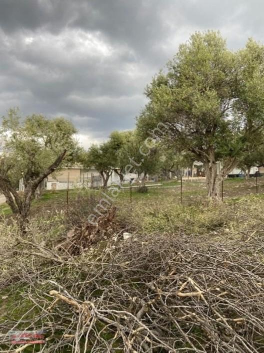 Bilginoğlu Emlaktan Kağan Mahallesi'nde Satılık Köye Yakın Tarla — fotoğraf 3