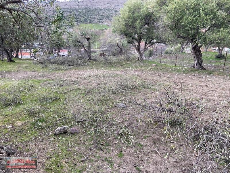 Bilginoğlu Emlaktan Kağan Mahallesi'nde Satılık Köye Yakın Tarla — fotoğraf 4