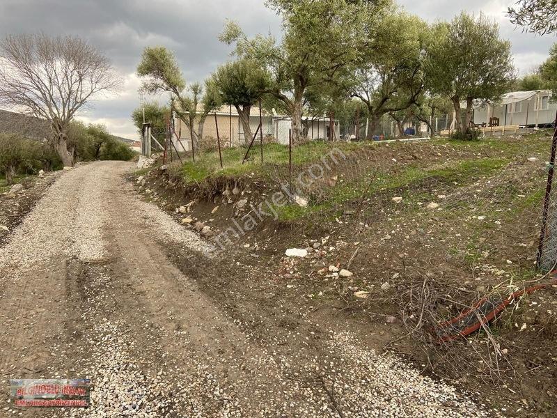 Bilginoğlu Emlaktan Kağan Mahallesi'nde Satılık Köye Yakın Tarla — fotoğraf 10