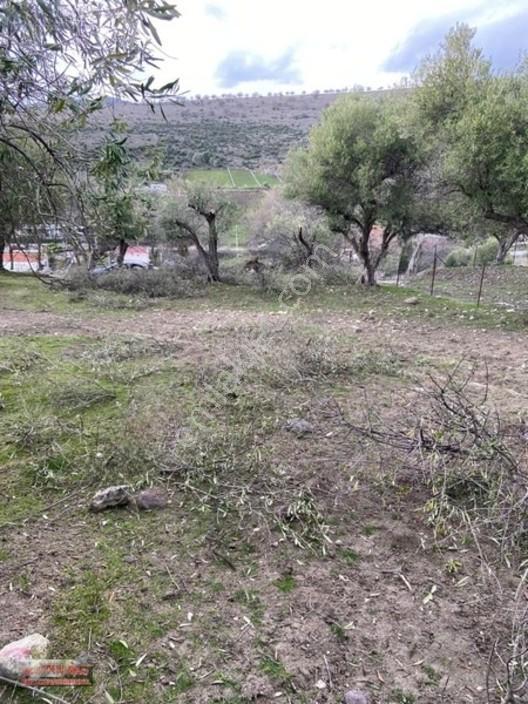Bilginoğlu Emlaktan Kağan Mahallesi'nde Satılık Köye Yakın Tarla — fotoğraf 12