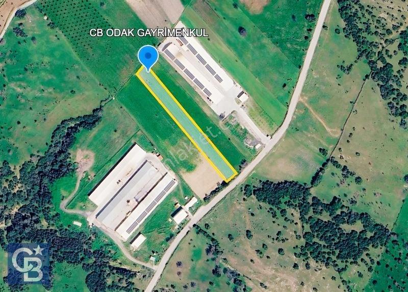 Bergama Örlemiş'te Res&ges Yatırımları Çevresinde 3.674 M2 Tarla — fotoğraf 2