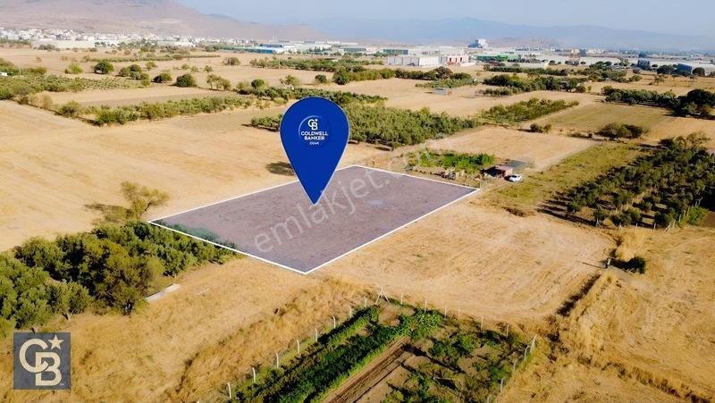 Aliağa/helvacıda Etrafı Çevrili Satılık Tarla