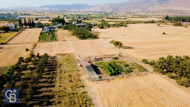 Aliağa/helvacıda Etrafı Çevrili Satılık Tarla — fotoğraf 11