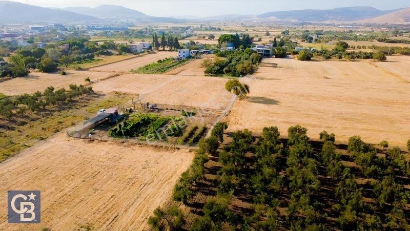 Aliağa/helvacıda Etrafı Çevrili Satılık Tarla — fotoğraf 13