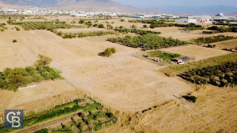 Aliağa/helvacıda Etrafı Çevrili Satılık Tarla — fotoğraf 14