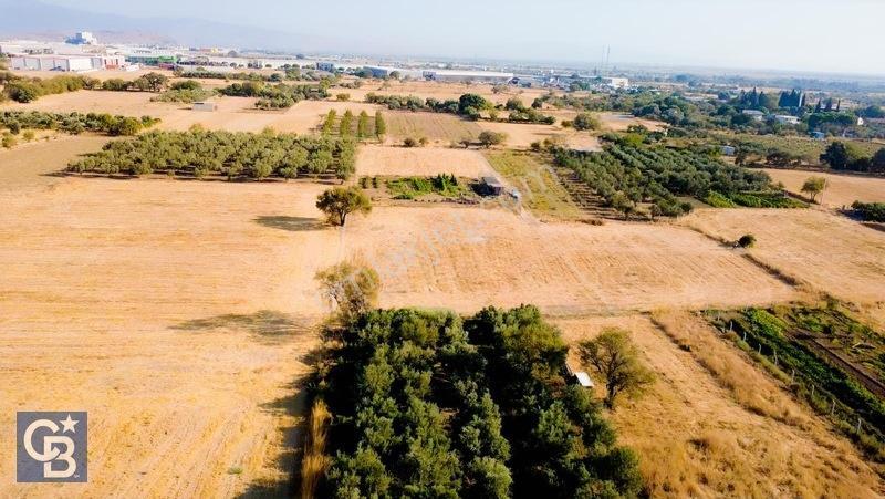 Aliağa/helvacıda Etrafı Çevrili Satılık Tarla — fotoğraf 15