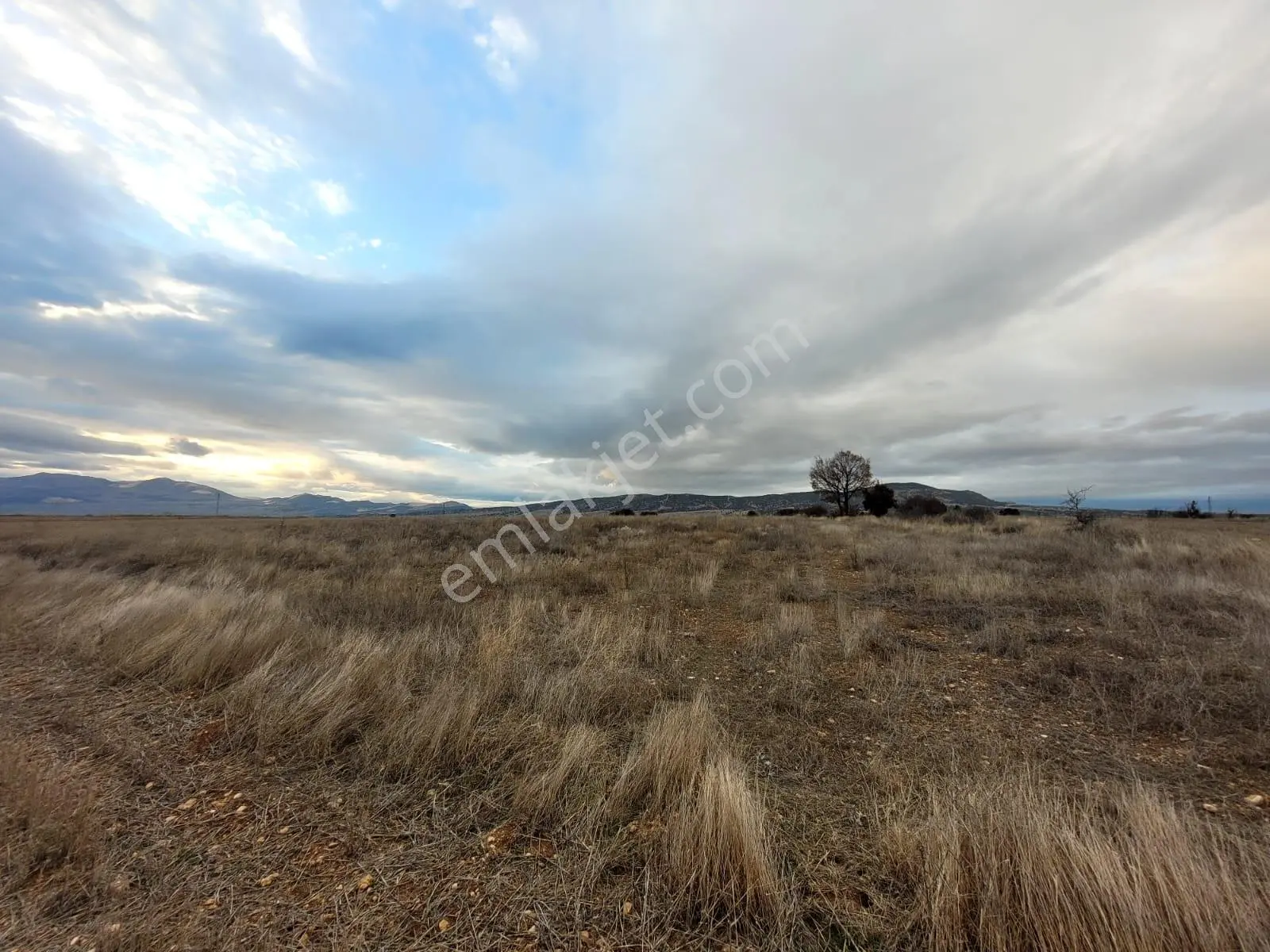 Burdur Kozluca'da Satılık Takasa Açık Tek Tapu 4500 M Tarla — fotoğraf 6
