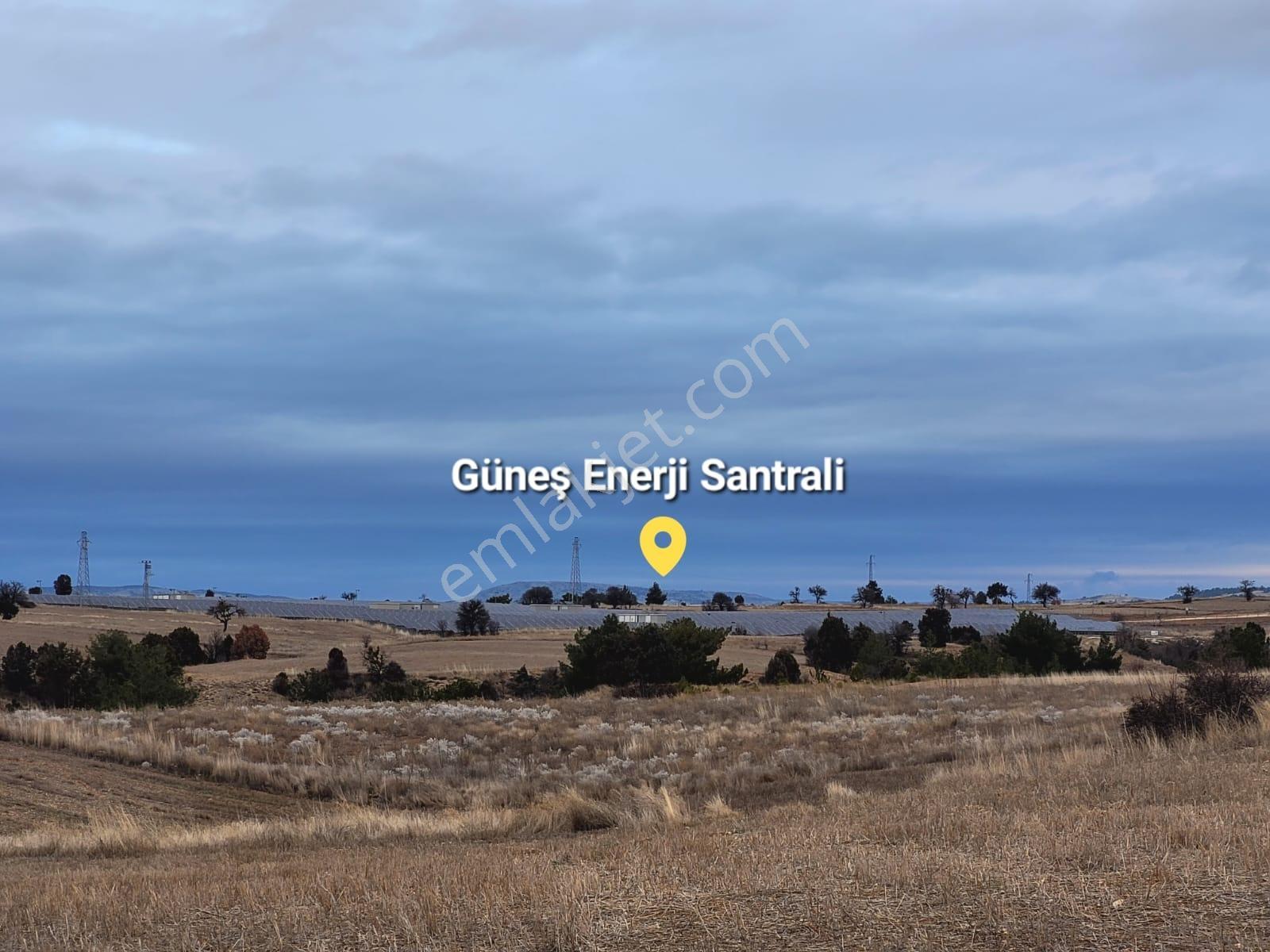 Burdur Kozluca'da Satılık Takasa Açık Tek Tapu 4500 M Tarla — fotoğraf 11
